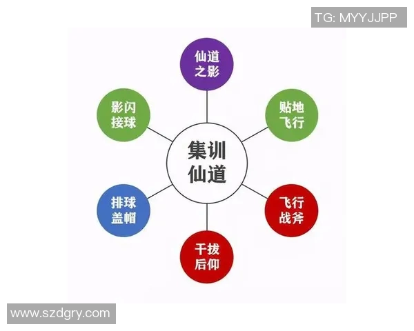 成都排球队个人能力深度解析与发展潜力探讨