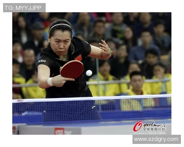 武汉乒乓球队在杯赛中的速度表现分析与战术探讨