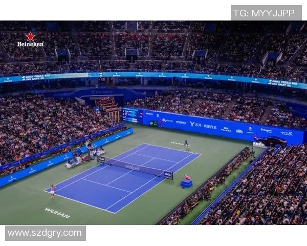 武汉网球队的拼搏之路与杯赛荣耀的背后故事 武汉网球队的拼搏之路与杯赛荣耀的背后故事