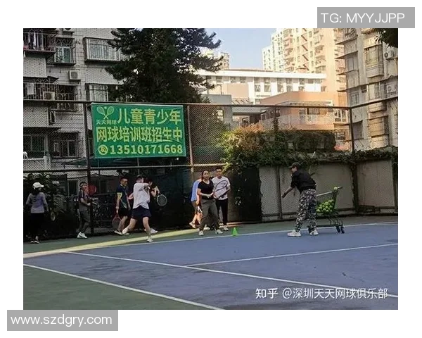 深度解析深圳网球队实力对比及未来发展潜力分析
