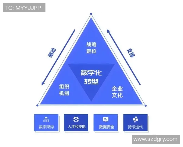 西安羽毛球队转型之路：从传统强队到现代竞技新模式的深度解析