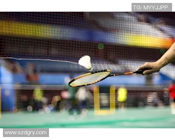 重庆羽毛球队的节奏体系与战术解析探讨羽毛球竞技的制胜之道