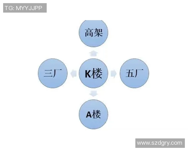 独家分析：广州排球队的个人能力对比