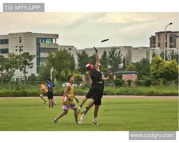 从零开始:飞盘技术完全攻略 从零开始:飞盘技术完全攻略