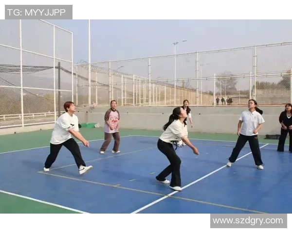 排球巨献：探秘杭州排球队的力量